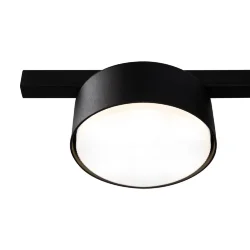 Потолочный светильник Freya FR5363CL-01B (Черный)