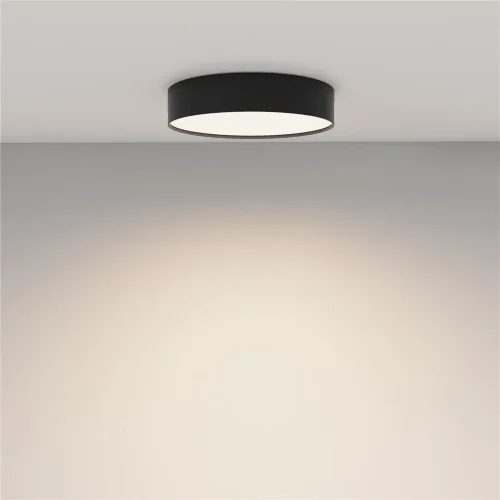 Потолочный светильник Zon 4000K 36W 120° (Черный) - фото 13