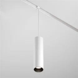 Трековый подвесной светильник Фокус / Focus Led Exility 4000K 12Вт 36° (Белый) TR041-2-12W4K-W