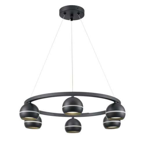 Люстра подвесная «LUMION» 8242/6, серия: LUAZANA (крепление на планке). Фото 2.