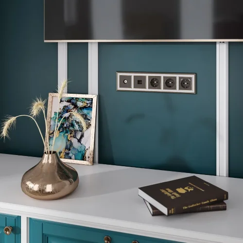 Накладка для TV розетки оконечной (бронзовый) W1193012 - фото 3