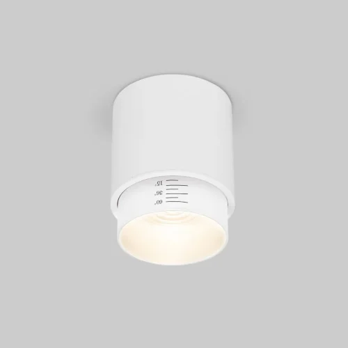 Потолочный светодиодный светильник Cors 25032/LED 10W 4200K белый - фото