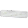 Светильник светодиодный DBA-103-0-20 60LED 5ч IP20 аварийный непостоянный Эра Б0044396 - фото