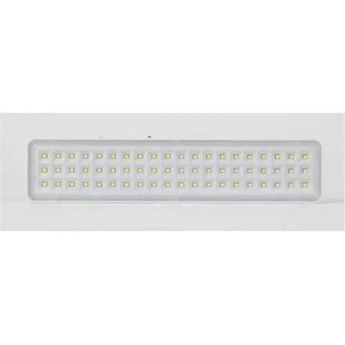 Светильник светодиодный DBA-103-0-20 60LED 5ч IP20 аварийный непостоянный Эра Б0044396 - фото 5
