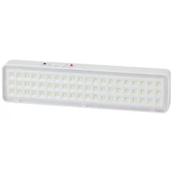 Светильник светодиодный DBA-103-0-20 60LED 5ч IP20 аварийный непостоянный Эра Б0044396