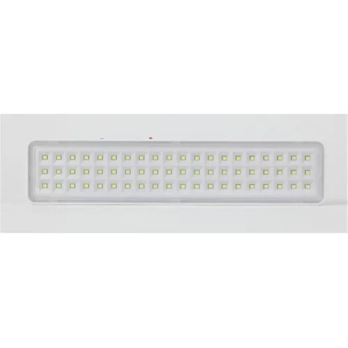 Светильник светодиодный DBA-103-0-20 60LED 5ч IP20 аварийный непостоянный Эра Б0044396 - фото 5
