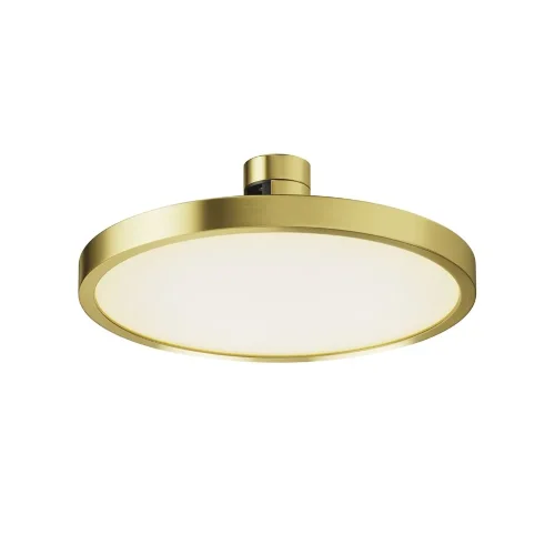 Трековый светильник Плато / Plato Flarity 3000K 10Вт 120° (Латунь) TR153-1-10W3K-BS - фото