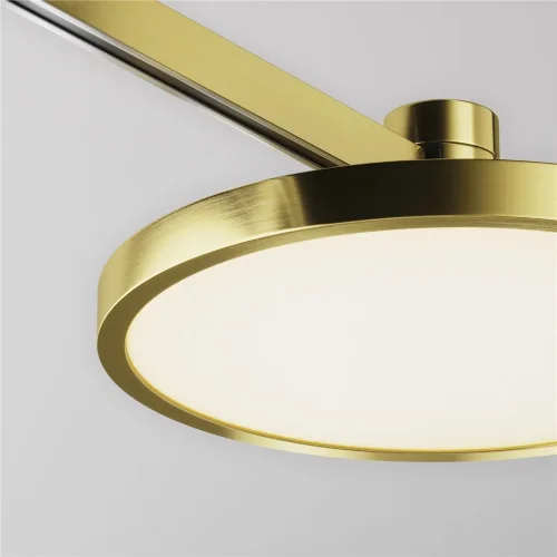 Трековый светильник Плато / Plato Flarity 3000K 10Вт 120° (Латунь) TR153-1-10W3K-BS - фото 2