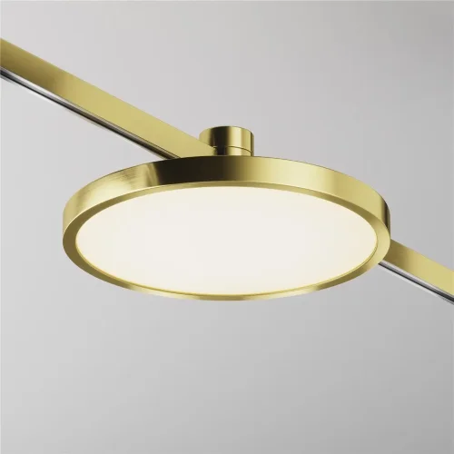 Трековый светильник Плато / Plato Flarity 3000K 10Вт 120° (Латунь) TR153-1-10W3K-BS - фото 3