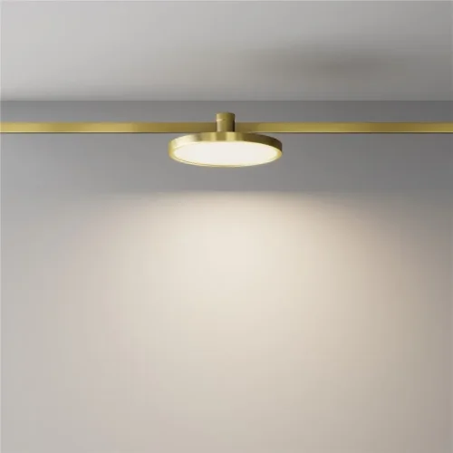 Трековый светильник Плато / Plato Flarity 3000K 10Вт 120° (Латунь) TR153-1-10W3K-BS - фото 4