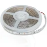 Светодиодная лента Standart PRO class, 3528, 60 led/m, Green, 12V, IP65 - фото I