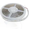 Светодиодная лента Standart PRO class, 3528, 60 led/m, Green, 12V, IP65 - фото.