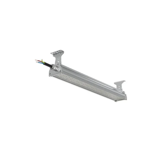 Светильник светодиодный ДСП WP 24 C 60W VW 840 L600 SI CL 680х100х85мм 60Вт 4000К IP66 пылевлагозащ. Русский Свет 27072423910 - фото