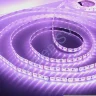 Светодиодная лента LUX class, 5050 (4 chips), 60 led/m, RGBDW, 12V, IP65, P204 - фото.