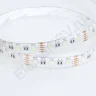 Светодиодная лента LUX class, 5050 (4 chips), 60 led/m, RGBDW, 12V, IP65, P204 - фото 5.