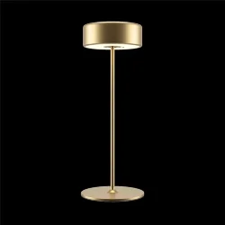 Аккумуляторный светильник AI Collaboration 2200-4000К 3Вт (Золото)