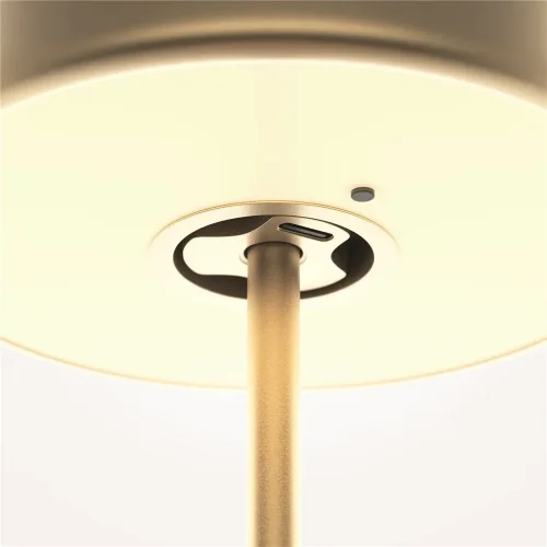 Аккумуляторный светильник AI Collaboration 2200-4000К 3Вт (Золото) - фото 6