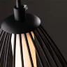 Подвесной светильник Freya FR6131PL-L24B (Черный) - фото 2
