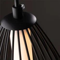 Подвесной светильник Freya FR6131PL-L24B (Черный)