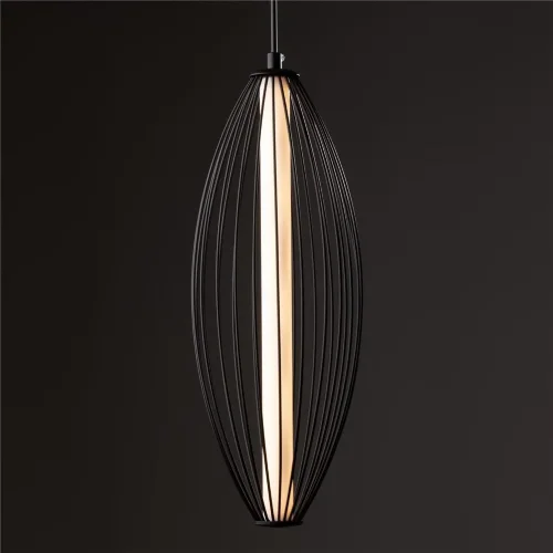 Подвесной светильник Freya FR6131PL-L24B (Черный) - фото 3