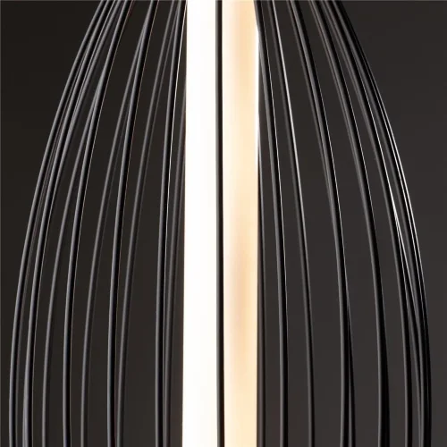 Подвесной светильник Freya FR6131PL-L24B (Черный) - фото 4