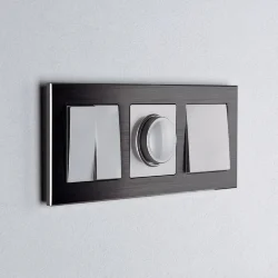 W1120006/ Выключатель двухклавишный (серебряный) W1120006