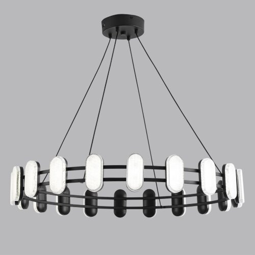 Люстра подвесная «LUMION» 8342/40L, серия: OVELA (крепление на планке). Фото 2.