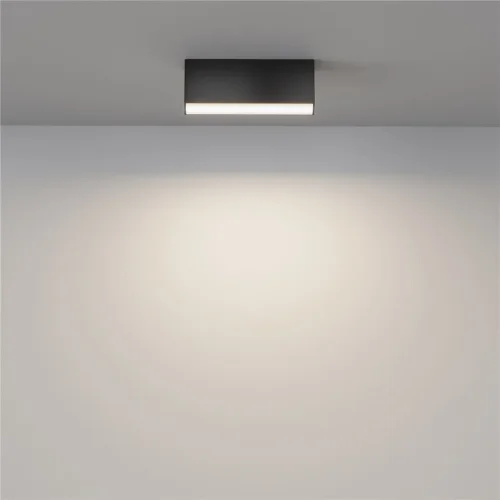 Потолочный светильник Basis 3000K-6000K 12Вт 120° IP 20 (Черный) - фото 4