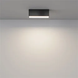 Потолочный светильник Basis 3000K-6000K 12Вт 120° IP 20 (Черный)