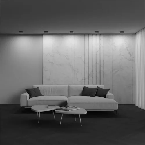 Потолочный светильник Basis 3000K-6000K 12Вт 120° IP 20 (Черный) - фото 5