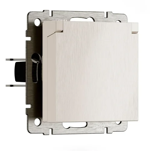 Розетка влагозащ. с зазем. с защит. крышкой и шторками N (перламутровый рифленый) W1171213 - фото