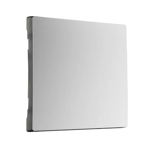 Клавиша для выключателя перекрестного (серебряный матовый) W1119065 - фото