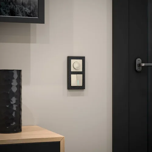 Выключатель двухклавишный с подсветкой (слоновая кость) W1120103 - фото 3