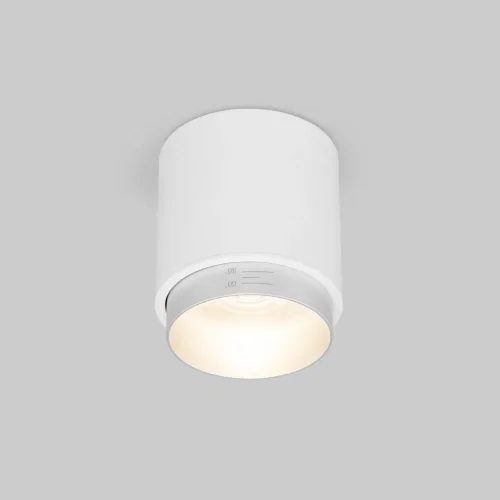 Потолочный светодиодный светильник Cors 25032/LED 10W 4200K белый/серебро - фото