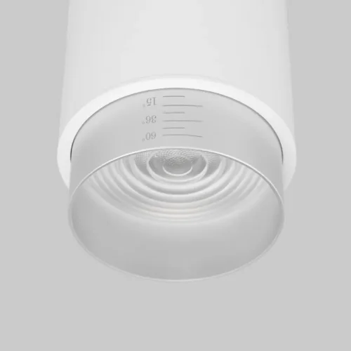 Потолочный светодиодный светильник Cors 25032/LED 10W 4200K белый/серебро - фото 2