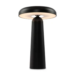 Аккумуляторный светильник Гриб / Mushroom (Черный) FR6109TL-L4B