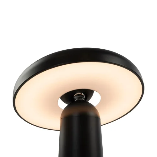 Аккумуляторный светильник Гриб / Mushroom (Черный) FR6109TL-L4B - фото 6