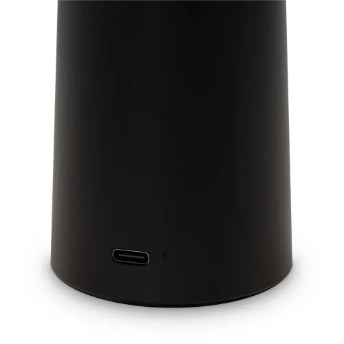 Аккумуляторный светильник Гриб / Mushroom (Черный) FR6109TL-L4B - фото 8