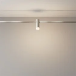 Трековый светильник Скольжение / Skim Flarity 3000K 2Вт 110° (Платина) TR145-1-3W3K-W-PT