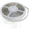 Светодиодная лента Standart PRO class, 3528, 60 led/m, Warm White, 12V, IP65 - фото.