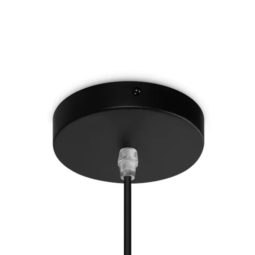 Подвесной светильник FR5335PL-01B1 Форма / Shape E27x1 (Черный) FR5335PL-01B1 - фото 9