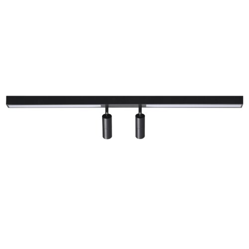 Потолочный светильник «LUMION» 5690/14CL, серия: HAWK (крепление на планке). Фото 1.