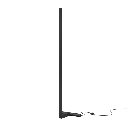 Напольный светильник (торшер) Combo 3000-6000K 20Вт (Черный) - фото