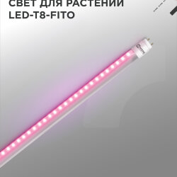 Лампа светодиодная LED-T8-ФИТО 20Вт 230В G13 1200мм IN HOME