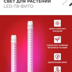Лампа светодиодная LED-T8-ФИТО 20Вт 230В G13 1200мм IN HOME