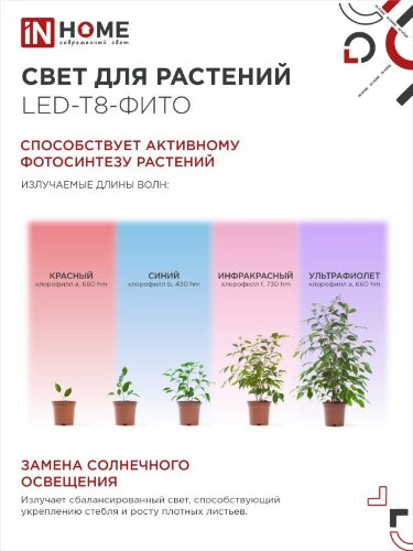 Лампа светодиодная LED-T8-ФИТО 20Вт 230В G13 1200мм IN HOME - Фото 6