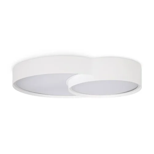 Потолочный светильник Товары / Items (Белый) FR6094CL-L72W - фото