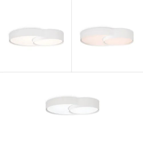 Потолочный светильник Товары / Items (Белый) FR6094CL-L72W - фото 8