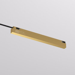 Внешний блок питания для трека SHINE BASE, 150W, 48V DC, IP20, сатинированная латунь, алюминий Лазерная гравировка на видимой боковой части., Denkirs TR5739-SB/1