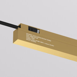 Внешний блок питания для трека SHINE BASE, 150W, 48V DC, IP20, сатинированная латунь, алюминий Лазерная гравировка на видимой боковой части., Denkirs TR5739-SB/1